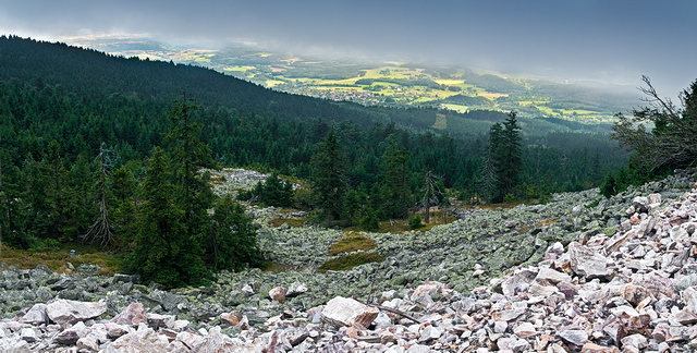 Browse  gallery in a new window