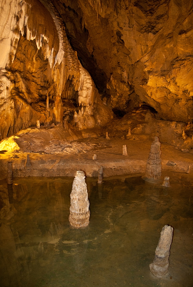 Browse gallery in a new window