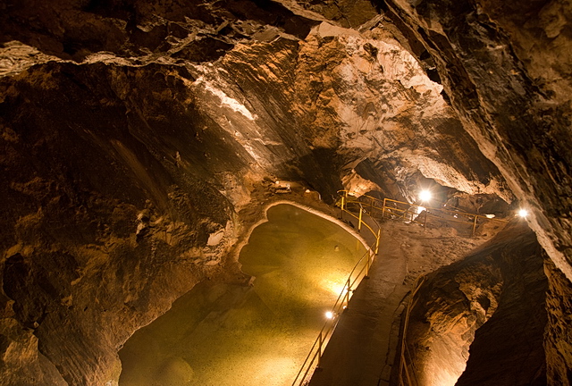 Browse gallery in a new window