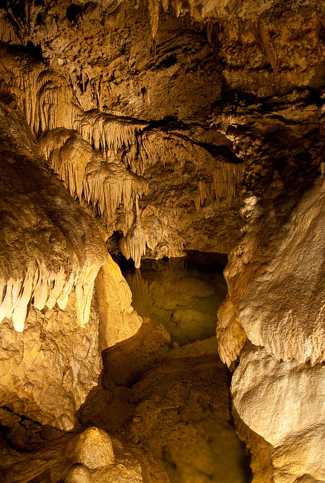 Browse gallery in a new window