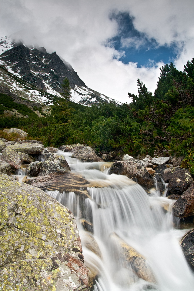 Browse gallery in a new window