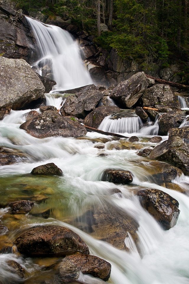 Browse gallery in a new window