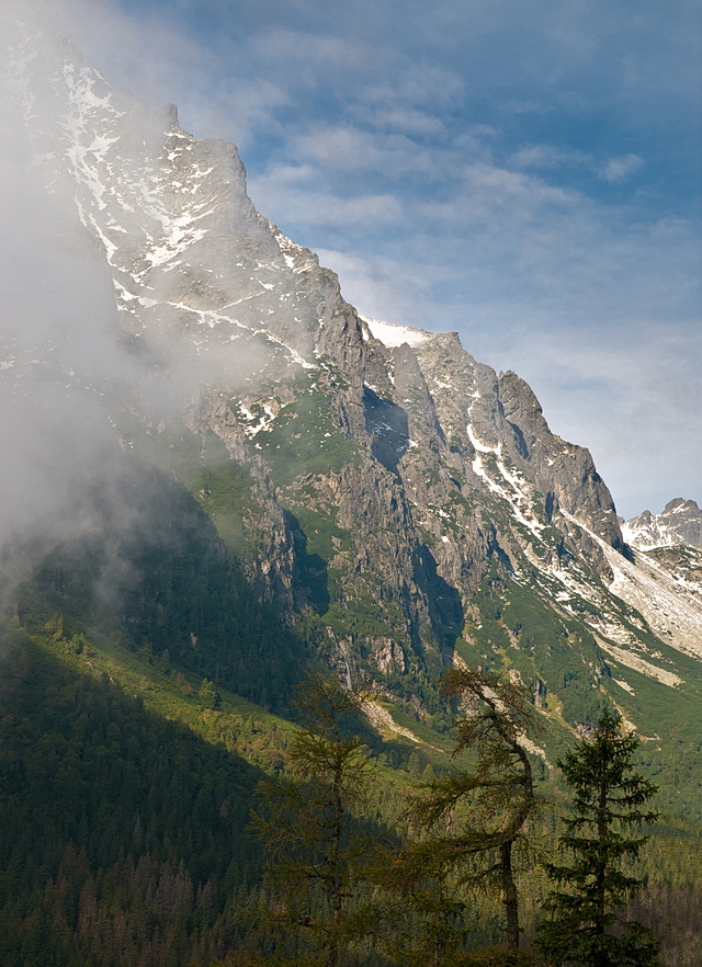 Browse gallery in a new window