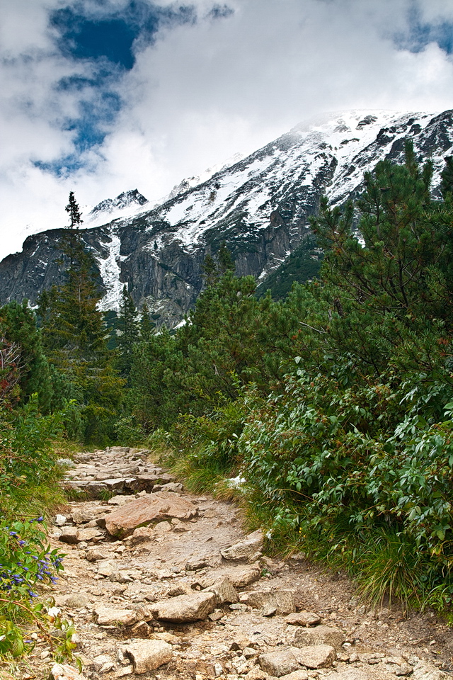 Browse gallery in a new window