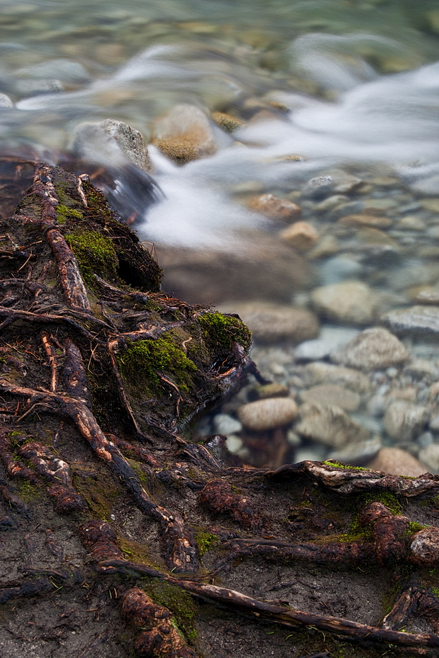 Browse gallery in a new window