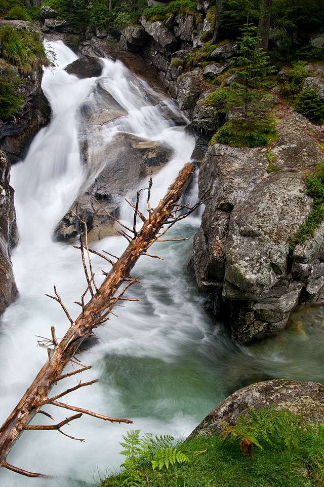 Browse gallery in a new window