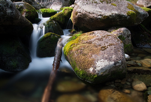 Zobrazit  v celém  okně