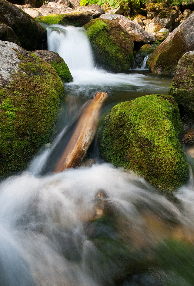Zobrazit  v celém  okně