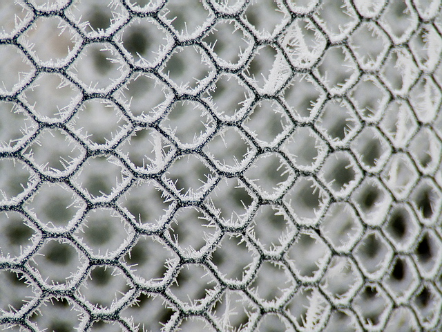 Browse gallery in a new window