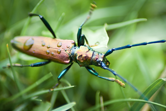 Browse  gallery in a new window